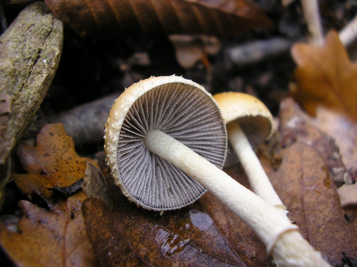 PA300128.JPG