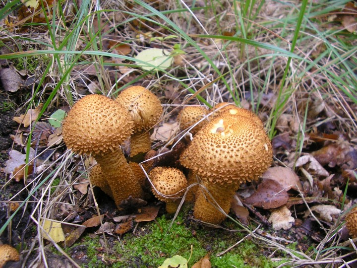 PA290055.JPG
