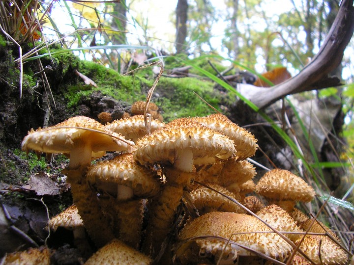 PA290058.JPG