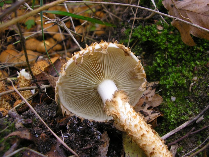PA290064.JPG