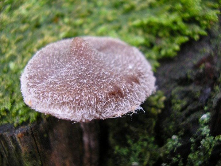 PA300105.JPG