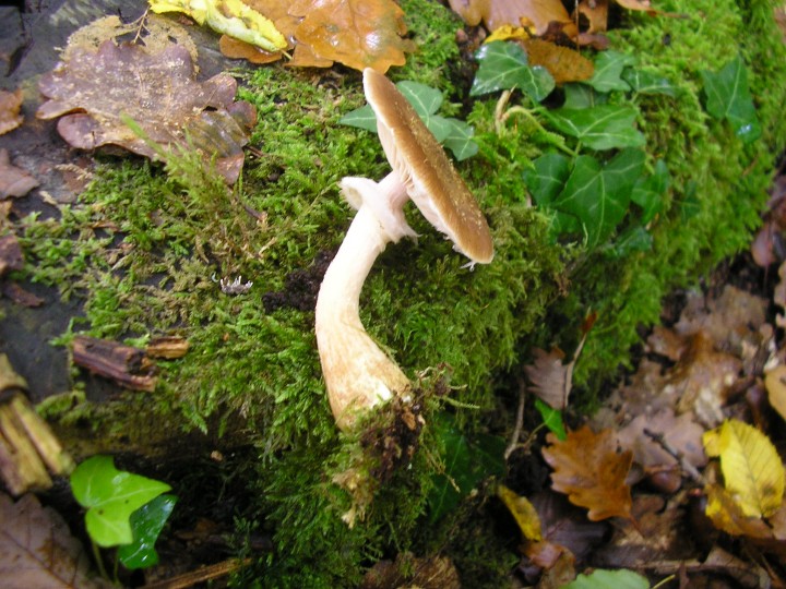 PA300115.JPG
