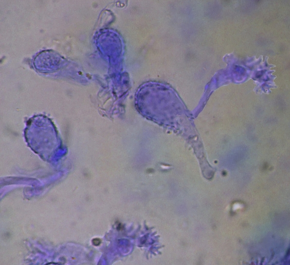 DSCF1270.JPG