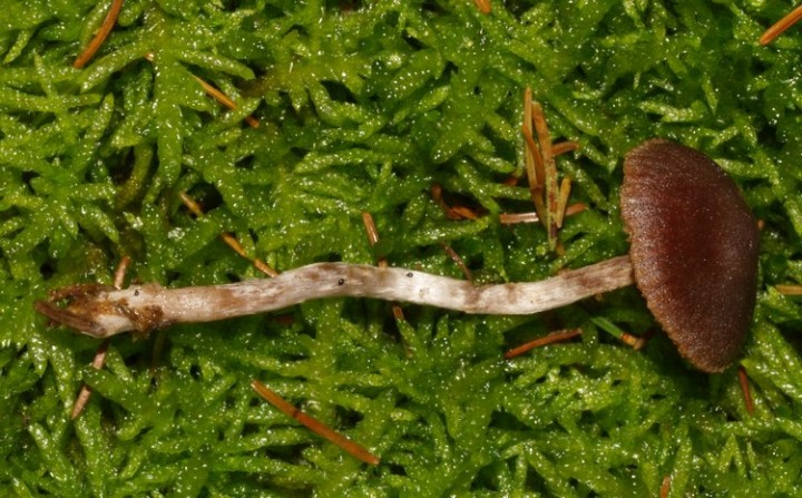 PA305755.JPG