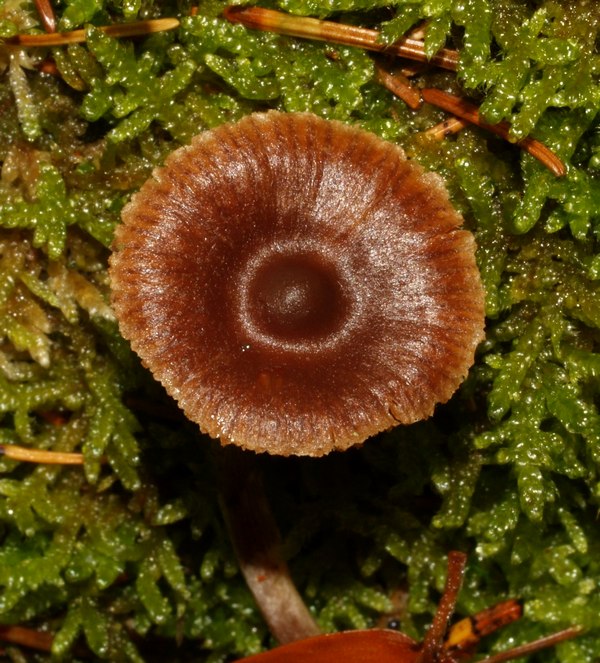 PA305766.JPG