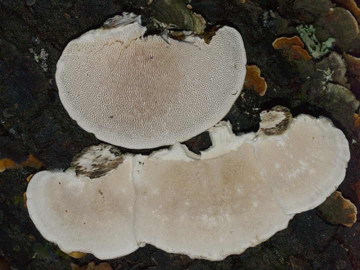 PB116131.JPG