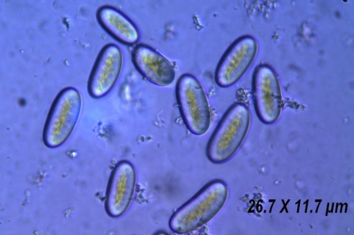 minisee0002.jpg