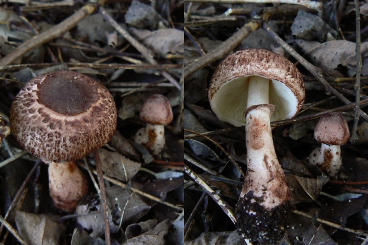 P1200852.jpg