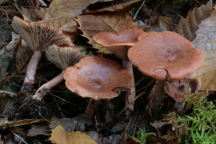 20 10 11 11h27.jpg