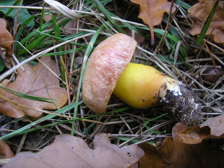 PB120327.JPG