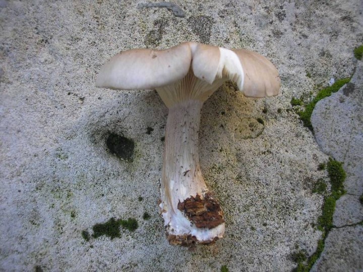PB190154.JPG