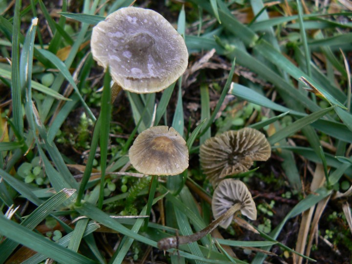 P1200580.jpg