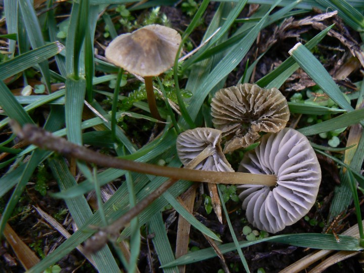 P1200584.jpg