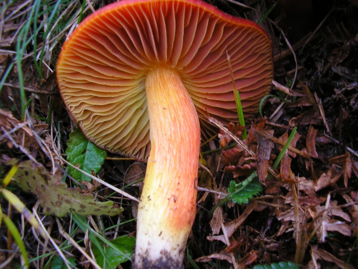 PB060028.JPG