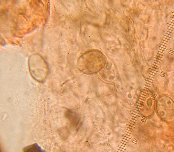 1111N10583.JPG