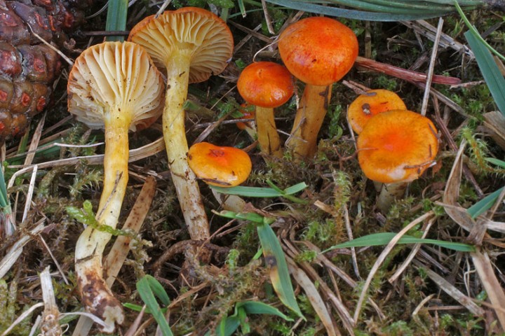 IMG01.jpg