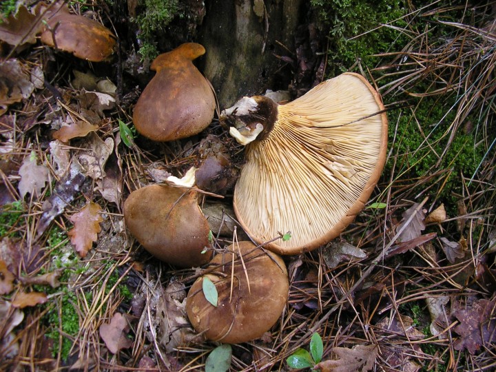 PB010095.JPG