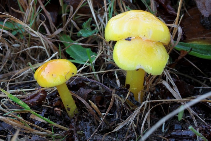 ce matin 18 décembre 2011