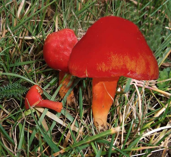 DSCF2412.JPG