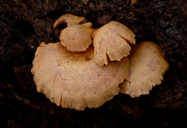 resized_P1080057.jpg