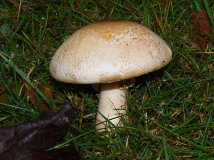 PC23663.jpg