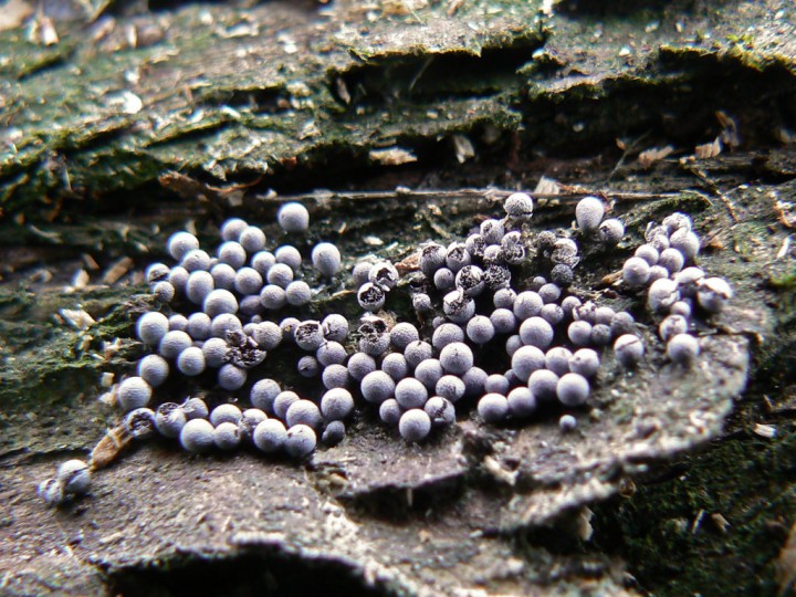P1210494.jpg