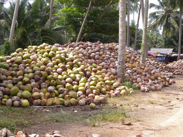 DSCN5338 (640x480).jpg