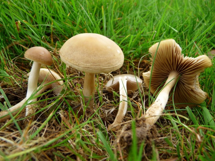 P1060509-001.JPG