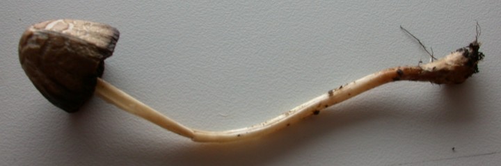 2 DSCN1565.JPG