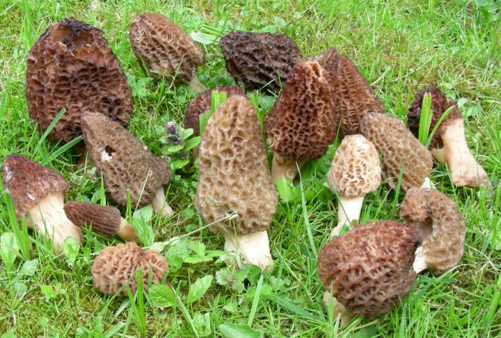 DSCN2054.JPG