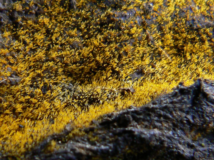 P1210933.jpg