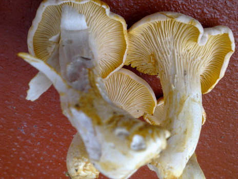 080620122180.jpg