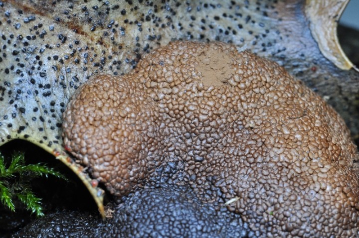 DSC_5508.JPG