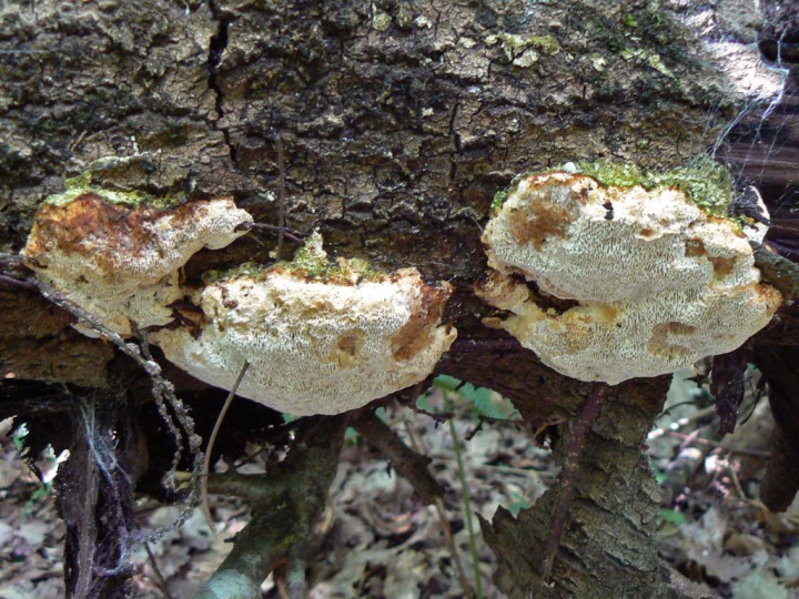 P1220332.jpg