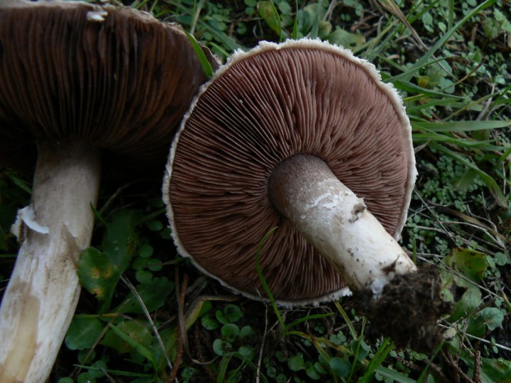 P1200614.jpg