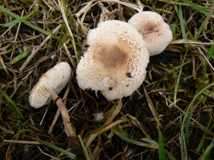 P1220422.jpg