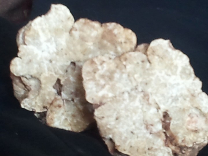 truffe-blanche_1.jpg