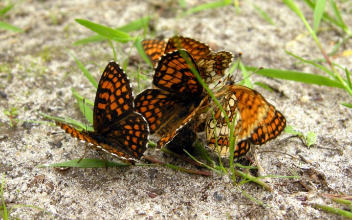 20120343.jpg