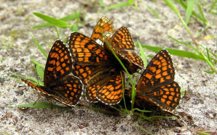 20120342.jpg