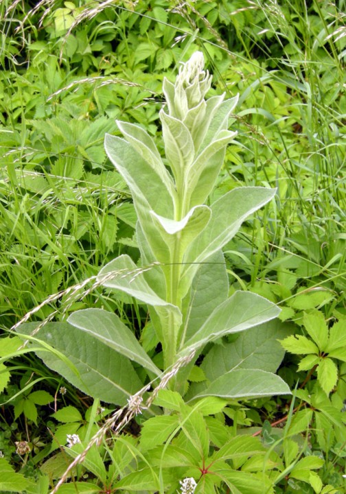 20120311.jpg