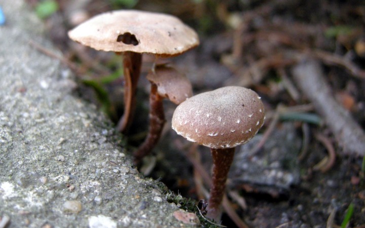 20120306.jpg