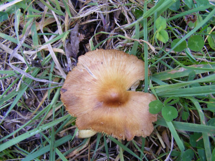 Photo-1149.jpg