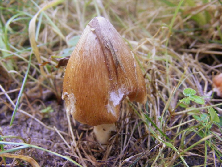 2009_0705essai0018.jpg