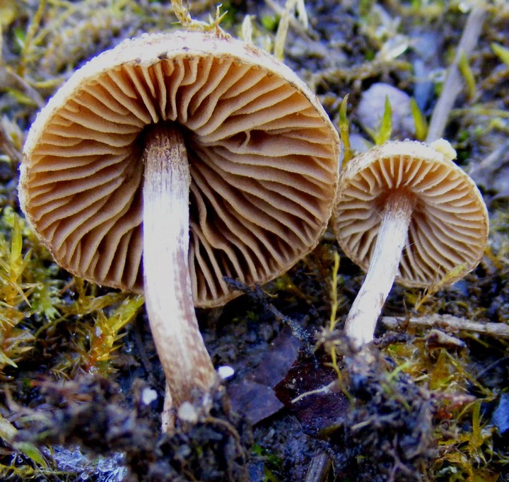 2010_0115avril0021.jpg
