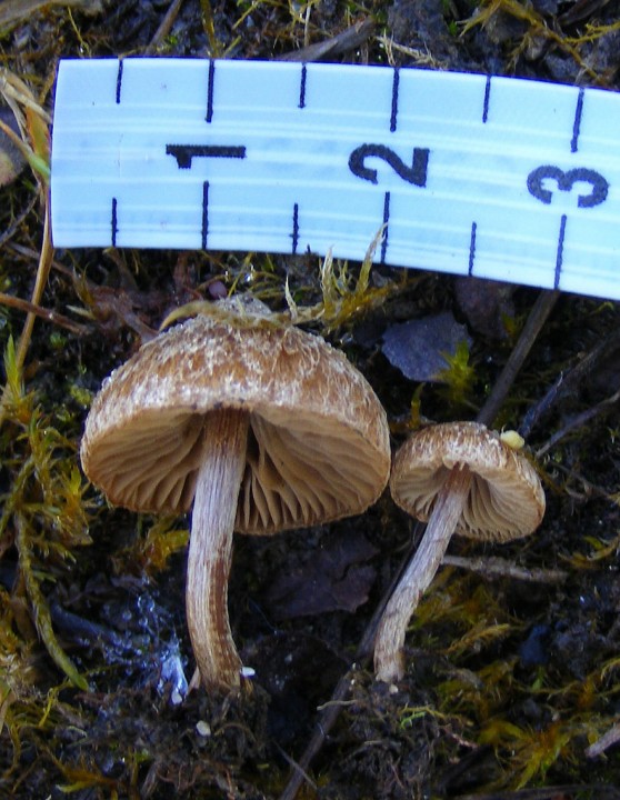 2010_0115avril0029.jpg