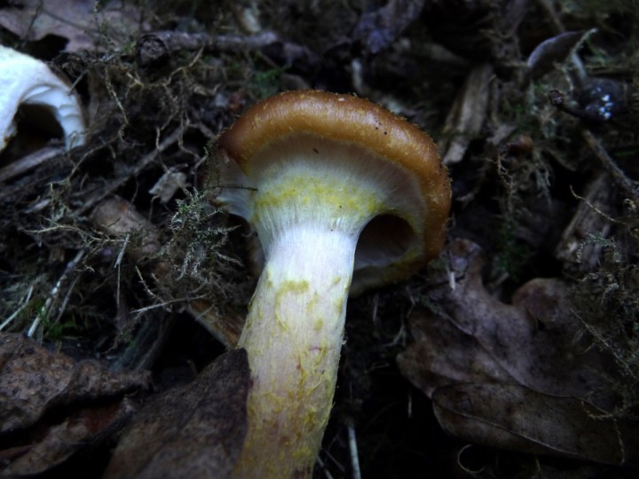 P1030016.jpg