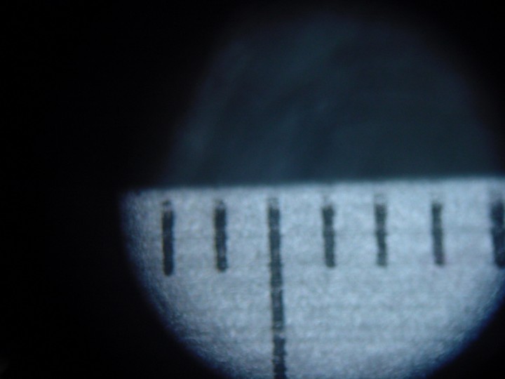 photo d'une règle prise à la binoculaire avec un grandissement de 20