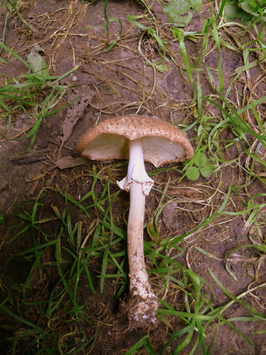 164.jpg