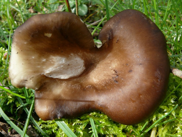 p158.jpg