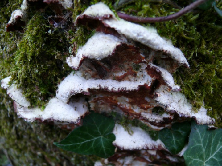 photo_5.jpg